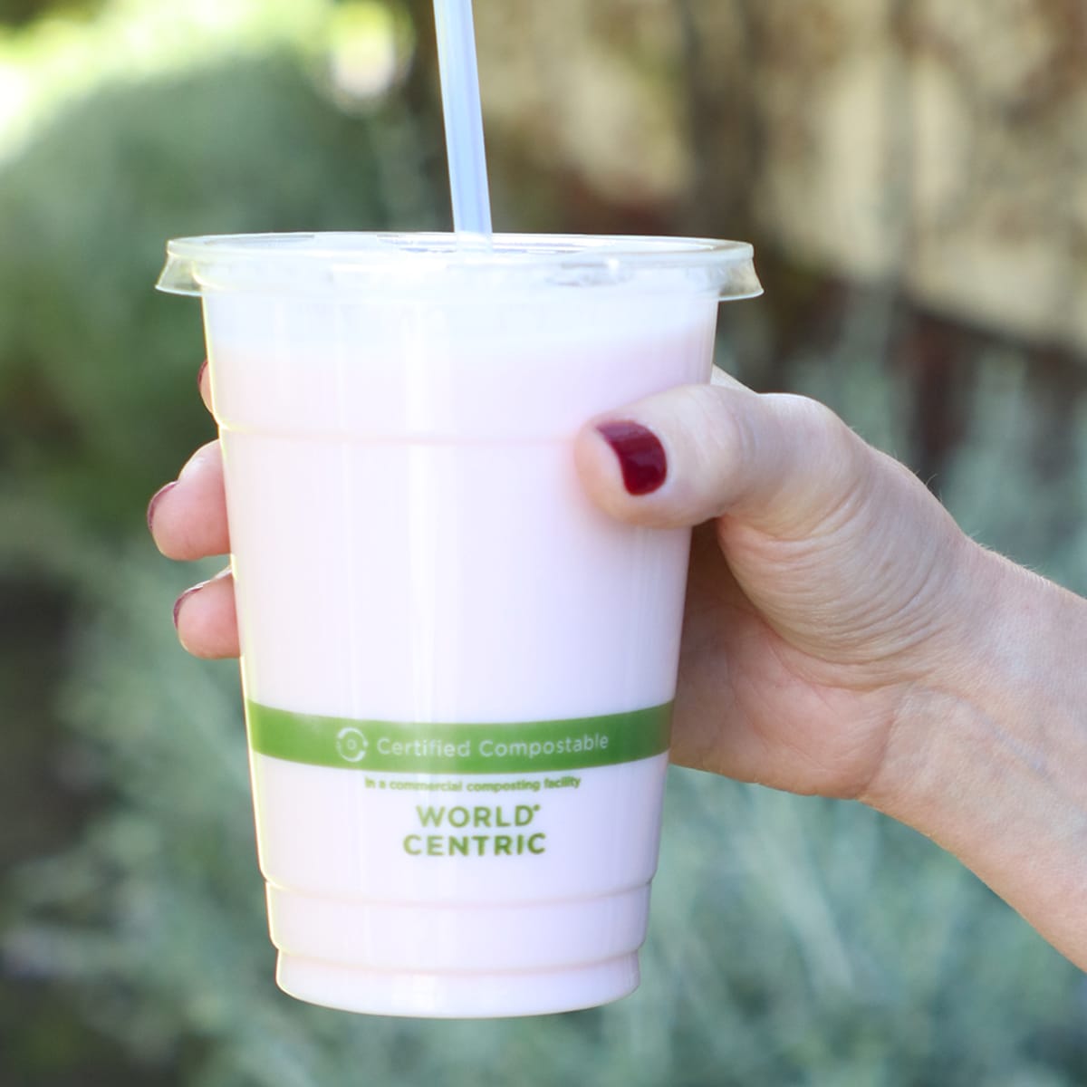 World Centric 16 oz Clear PLA Cold Cup Compostable Drink Cup (QTY 50), SKU CP-CS-16_50