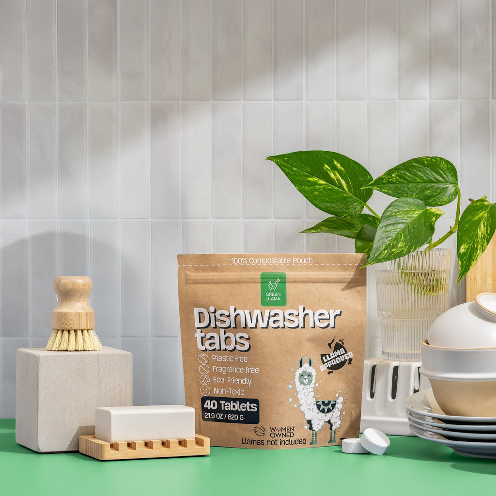 Dish Starter Kit